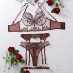 Color blocking French thin bra set embroidered mesh splicing sexy lingerie - Image 5