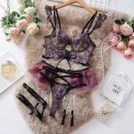 Dnika Embroidered Erotic Lingerie Complex Craft Transparent Bra Set Exotic - Image 6