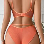 Sexy lingerie set embroidered steel support bra triangle pants two-piece set - Image 5
