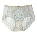 Luxury Mid-High Waist Women's Underwear with Silk-Cotton Lining Antibacterial Mesh Sexy Lace Design