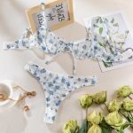 Cross-border New Floral Separated Bra Set Sexy Temptation Ultra-thin Mesh Print Transparent Erotic Underwear - Image 5