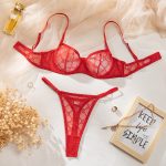 Thin Large Chest Minimizer Sexy French Mesh Plaid Bra Lingerie Set with Gathered Transparent Design - Image 9
