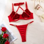 Cross-border Fully Managed Early Spring Pure Desire Sexy Lingerie Transparent Halter Comfortable Stocking Clip Two-piece Set for Women - Image 4