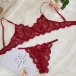 Sexy Lace Trim Sheer Lingerie Set for Women - Image 9