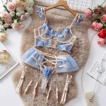 Dnika Embroidered Erotic Lingerie Complex Craft Transparent Bra Set Exotic - Image 5
