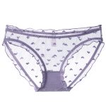 Sexy Women's French Ultra-thin Transparent Mesh Lace Underwear with Pure Cotton Crotch, Butt-lifting Low Waist Triangle Pants