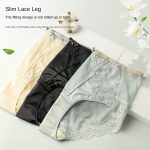 Luxury Mid-High Waist Women's Underwear with Silk-Cotton Lining Antibacterial Mesh Sexy Lace Design - Image 4
