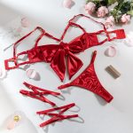 Sexy Lingerie Set with Steel Ring Hollow Design and Thigh Rings - Image 9