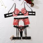 Transparent Heavy Embroidery Eyelash Lace Shaping Sexy Four-Piece Set for Women - Image 8
