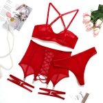 Sexy Lingerie Set for Women - Sheer Mesh Transparent Cross-Tied Hollow Out Push-Up Bra and Panty Three-Piece Suit - Image 8
