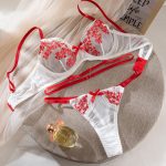 Sexy Underwear Pure Desire Transparent Gathered Temptation Contrast Color Embroidery Passion Two-Piece Set - Image 6