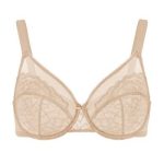 French sexy lace bra