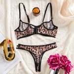 Leopard Print Lace  Underwear Set - Sexy Semi-Transparent Ultra-Thin Large Bust Minimizer Push-Up Bra Set - Image 4