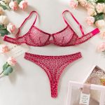 Sexy Black Ultra-thin Mesh Transparent Push-up Bra Set - Image 9