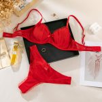 Sexy Mesh Hollow-out Bra Set with Butterfly Knot for Pure Desire Girls - Three-Piece Lingerie Suit - Image 9